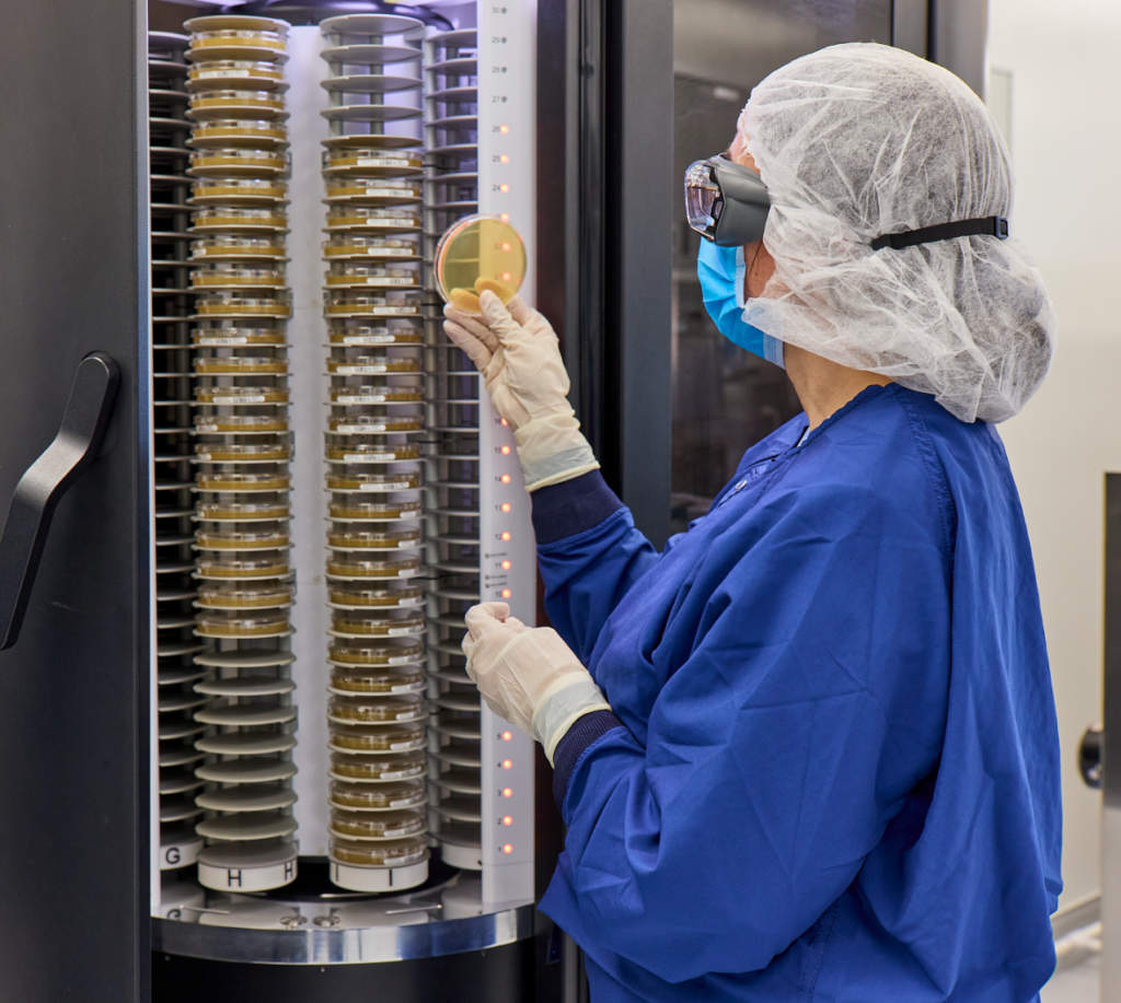 A worker in blue scrubs looking at a petri dish