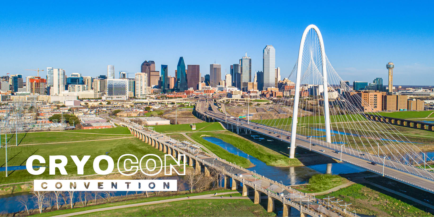 A view of a city with the text Cryocon Convention
